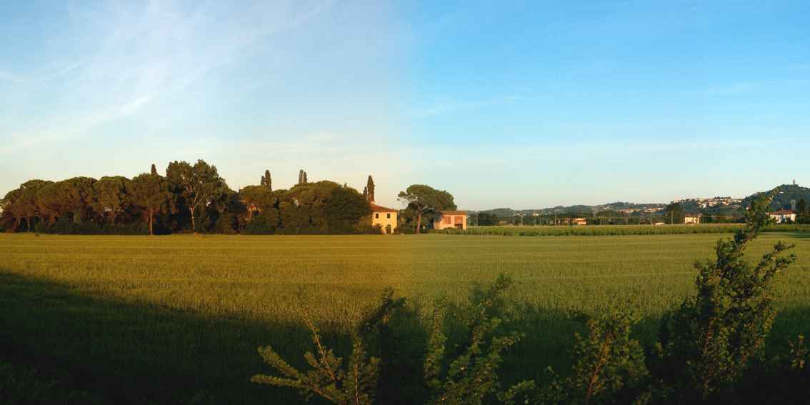 Agriturismo a San Miniato di Pisa - Fattoria la Scaletta l' azienda agricola